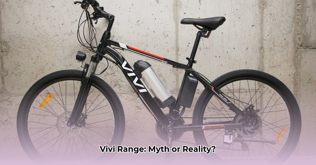 vivi-review